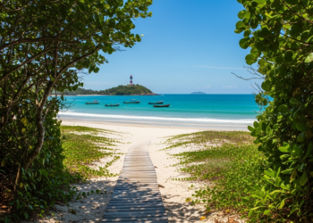 A ilha do Paraná com praias desertas, natureza intocada e beleza única que está conquistando visitantes