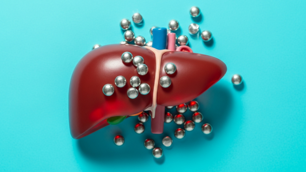 Os quatro alimentos ricos em ferro que ajudam na imunidade do corpo e fortalecem a saúde