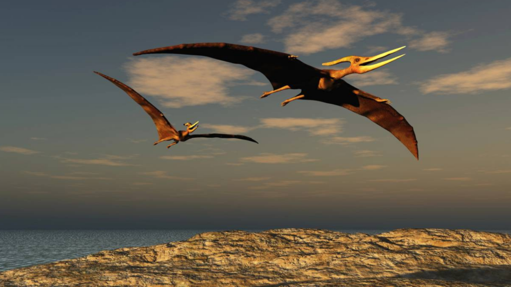 A descoberta incrível no Brasil que mostra como os cérebros dos pterossauros criaram sua forma de voar