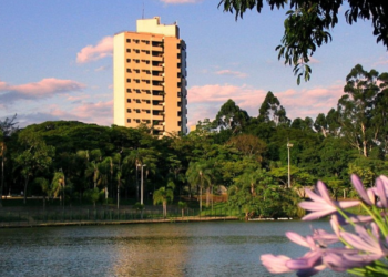Uma das cidades mais desenvolvidas do interior de São Paulo segue fora do radar de muita gente