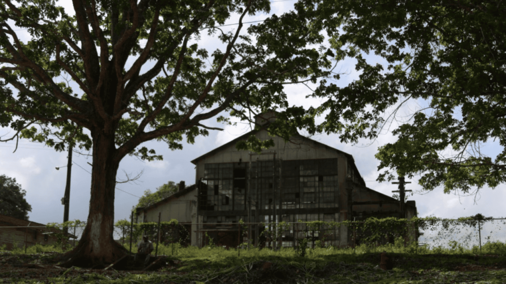 A cidade fantasma na Amazônia que guarda um passado dos americanos esquecido no Brasil