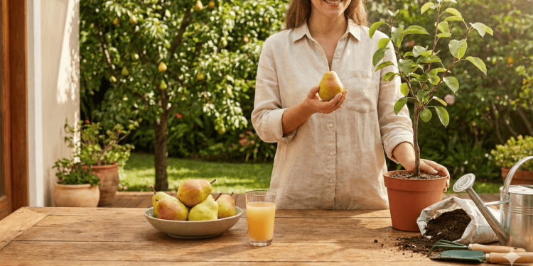 A pera contém compostos fenólicos, como flavonoides e ácidos hidroxicinâmicos, que lhe conferem uma significativa ação antioxidante