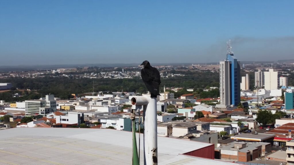 A cidade onde a força industrial convive com paisagens naturais preservadas e atraí olhares
