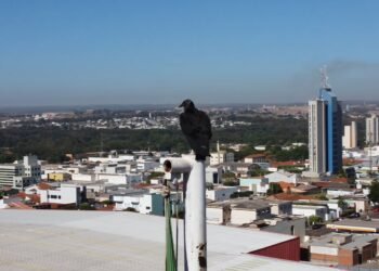A cidade onde a força industrial convive com paisagens naturais preservadas e atraí olhares