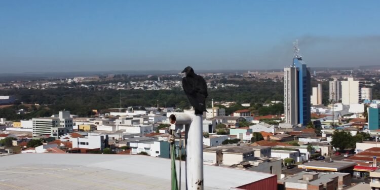 A cidade onde a força industrial convive com paisagens naturais preservadas e atraí olhares