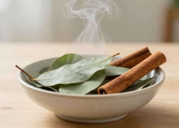 Infusão de folhas de eucalipto com canela: quais os benefícios
