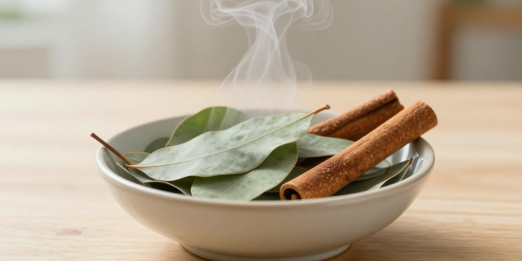 Infusão de folhas de eucalipto com canela: quais os benefícios