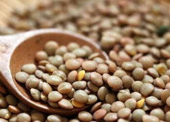 Os principais benefícios da lentilha para a saúde