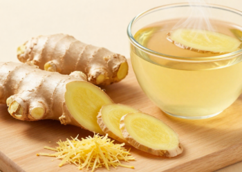 Melhor que o remédio da farmácia? Como 1g de gengibre acelera o esvaziamento gástrico, bloqueia a serotonina e corta o enjoo sem te deixar sonolento