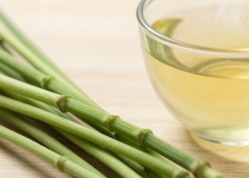 Muito usada em chás, essa planta antiga chama atenção pelo seu efeito diurético leve