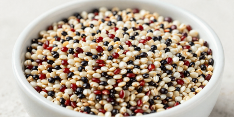 O alimento simples que entrega proteína completa e ajuda no fortalecimento muscular