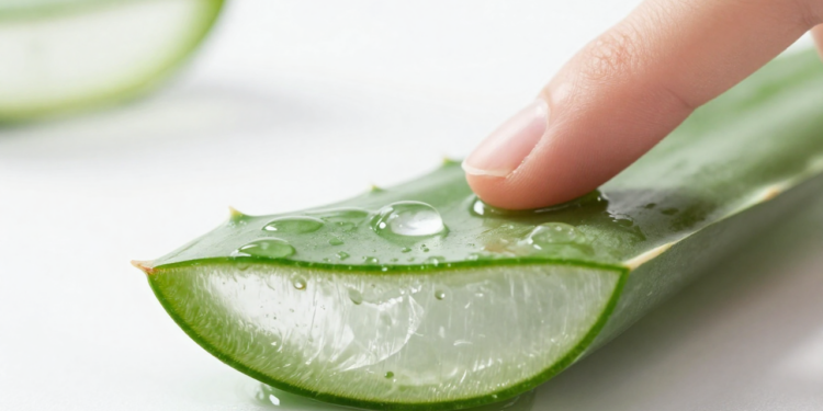 O gel natural que acalma a pele e virou queridinho nos cuidados diários