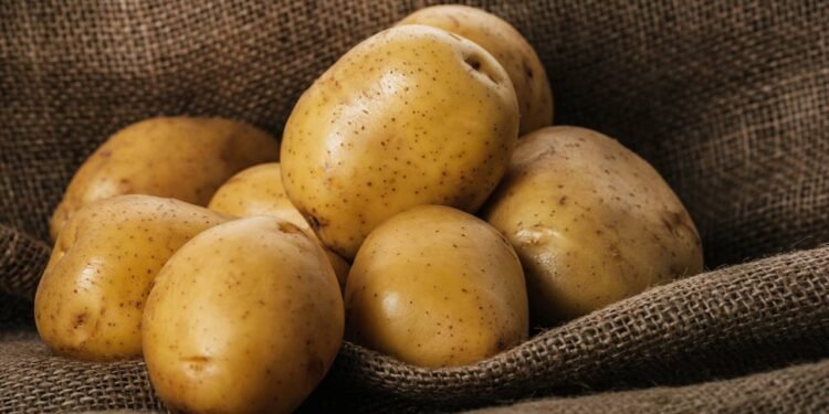 O alimento comum no Brasil rico em magnésio e vitamina C e ninguém sabe disso