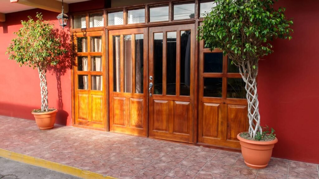 A "árvore do dinheiro" que se colocada na entrada traz prosperidade e boas energias para casa