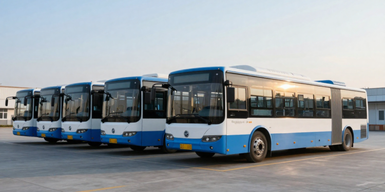 Por que “ônibus” não muda no plural, e isso faz todo sentido