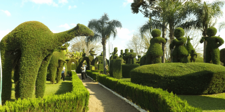 Uma cidade ganhou fama de “Mais Bela Praça” por um jardineiro de 89 anos que criou esculturas com árvores em uma praça inteira
