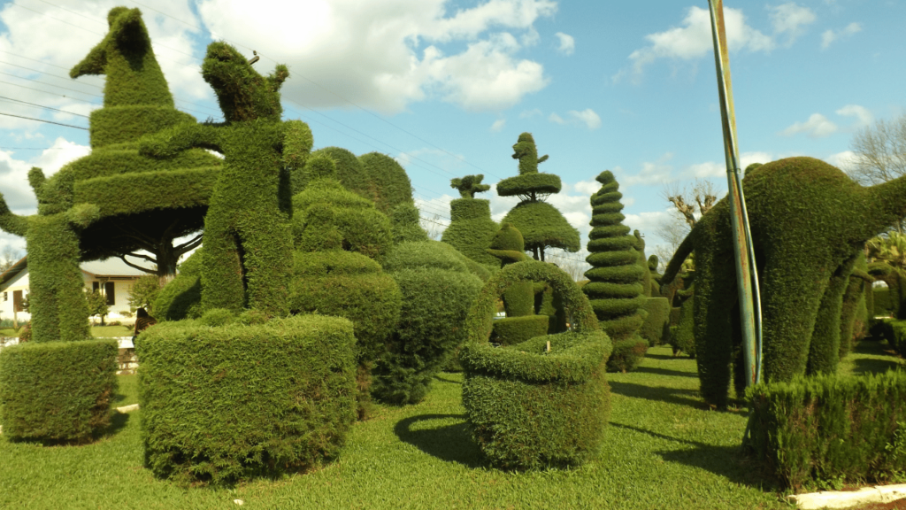 Uma cidade ganhou fama de “Mais Bela Praça” por um jardineiro de 89 anos que criou esculturas com árvores em uma praça inteira