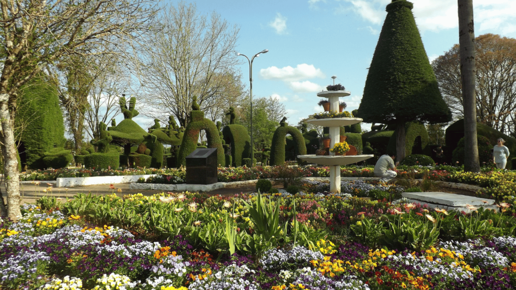 Uma cidade ganhou fama de “Mais Bela Praça” por um jardineiro de 89 anos que criou esculturas com árvores em uma praça inteira