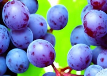 Uma fruta simples do dia a dia está atraindo seu cultivo por cuidar da pele, do coração e da mente