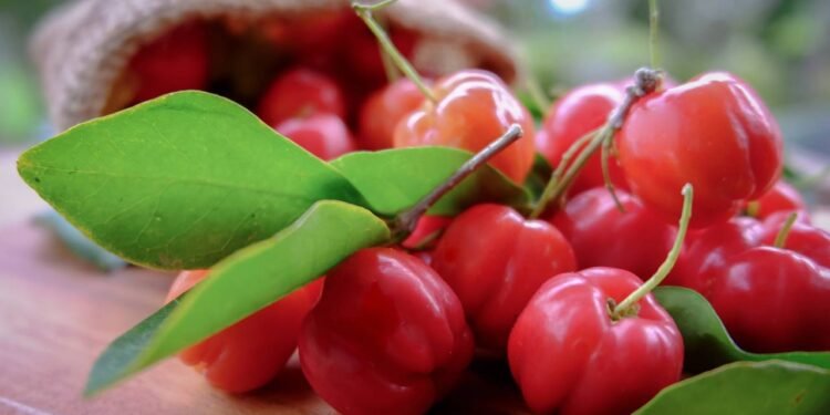 A fruta rica em vitamina C e antioxidantes que é uma forte aliada para o sistema imunológico