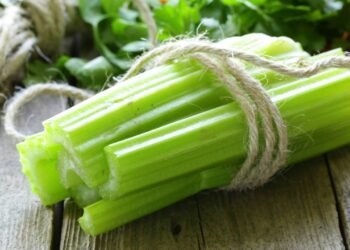 A plantinha refrescante que auxilia na pressão e é super fácil de plantar em casa