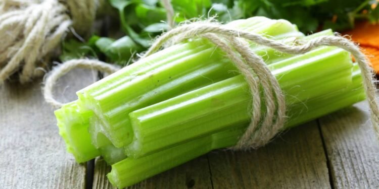 A plantinha refrescante que auxilia na pressão e é super fácil de plantar em casa