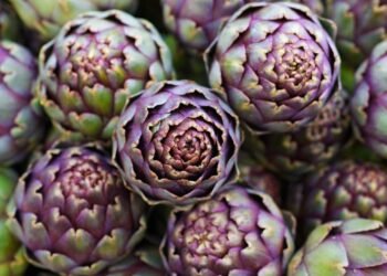 O vegetal que voltou a chamar atenção de quem cuida do fígado em 2025