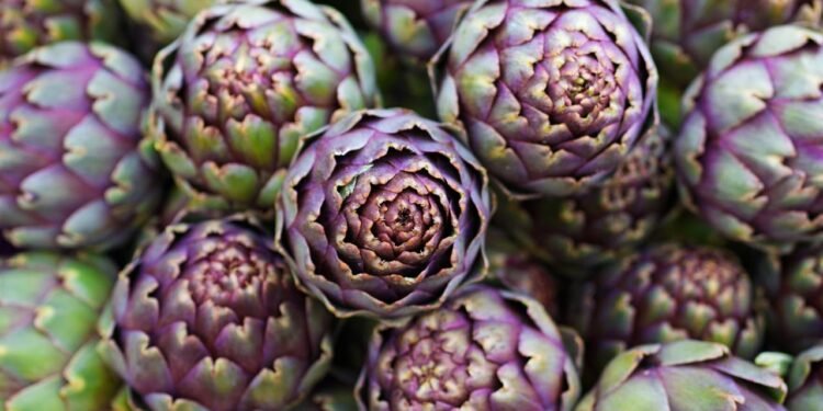 O vegetal que voltou a chamar atenção de quem cuida do fígado em 2025