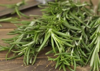 Uma erva cultivada há séculos segue ajudando o corpo até hoje com seus diversos benefícios