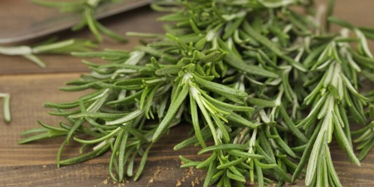 Uma erva cultivada há séculos segue ajudando o corpo até hoje com seus diversos benefícios