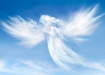 O coletivo de anjos é mais poético do que parece e quase ninguém lembra dele