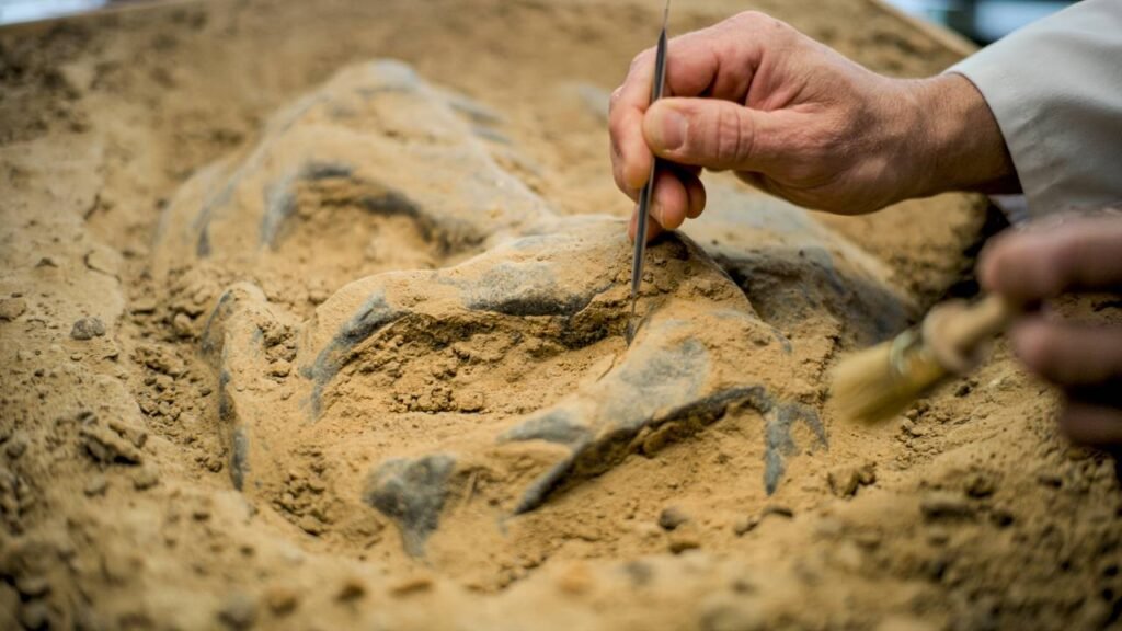 Descoberta de uma moeda rara de 2 mil anos e por que ela reforça aspectos históricos da Bíblia