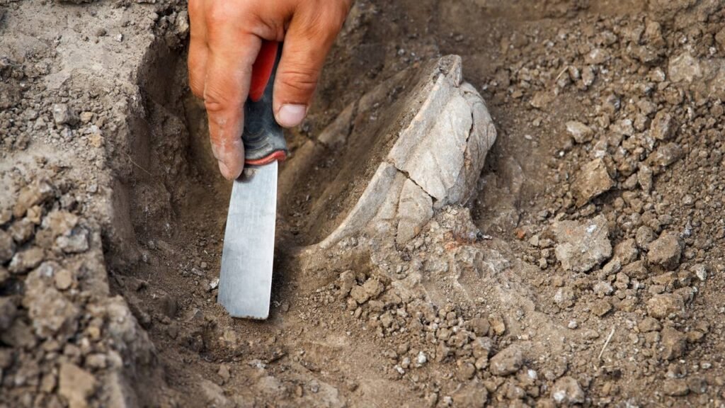 Sandália medieval achada em ninho de abutres revela detalhes da vida há 750 anos