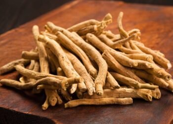 A planta natural que ajuda o corpo a lidar melhor com o estresse diário