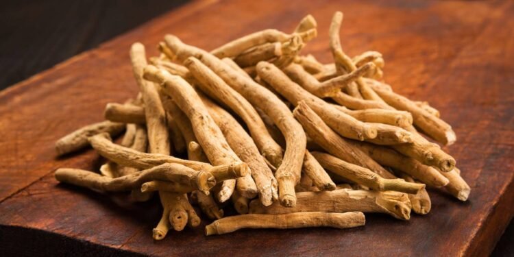 A planta natural que ajuda o corpo a lidar melhor com o estresse diário