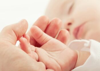 Aurora voltou aos cartórios em 2025 e carrega um significado que surpreende e emociona