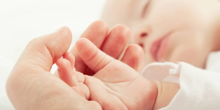 Aurora voltou aos cartórios em 2025 e carrega um significado que surpreende e emociona