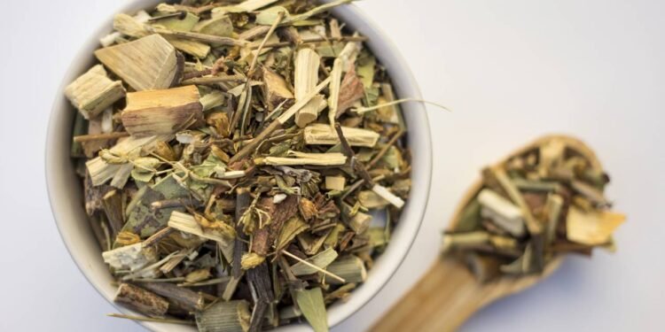 Boldo - Créditos: depositphotos.com / u_aurora