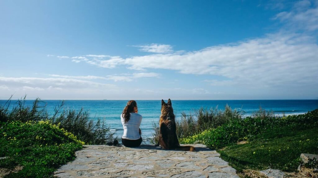 O seu pet consegue entender quando você está realmente triste, segundo pesquisas