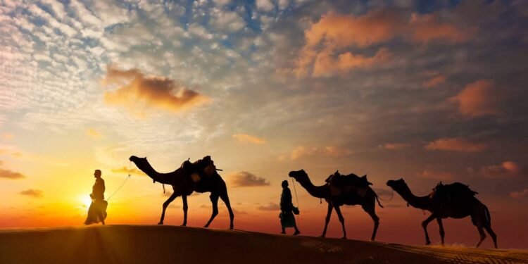 Coletivo de camelos existe sim e tem um nome que quase ninguém usa, veja qual é