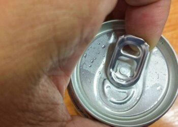 Poucos sabem por que pendurar tampinhas no jardim afasta insetos e pássaros