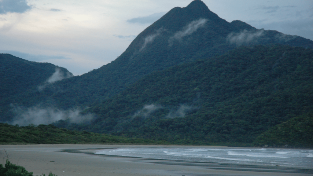 A praia de São Paulo perfeita para fugir da cidade grande e ainda ter chances de encontrar golfinhos