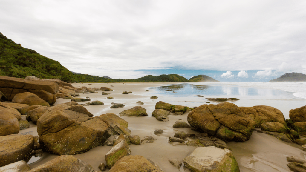 A praia de São Paulo perfeita para fugir da cidade grande e ainda ter chances de encontrar golfinhos
