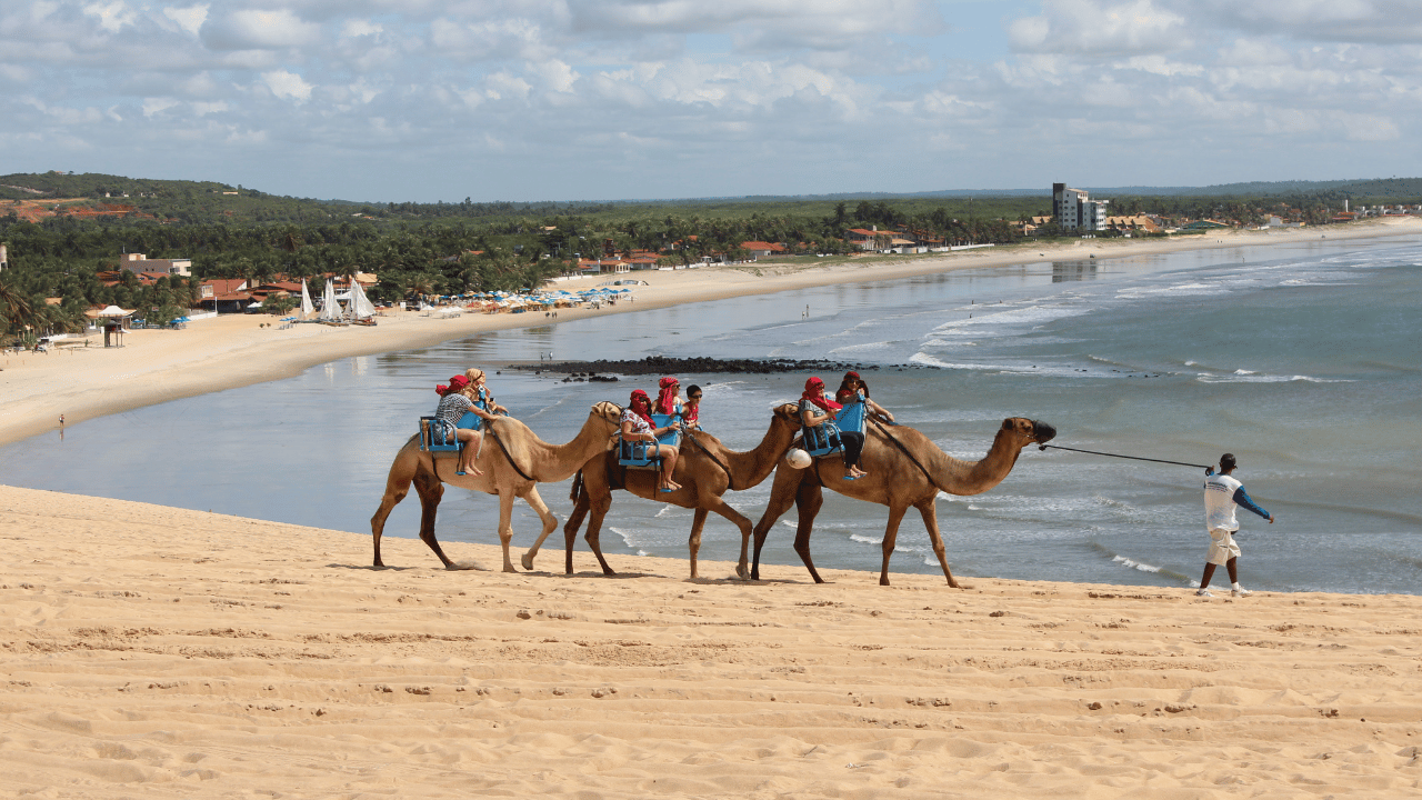 O “Deserto do Saara Brasileiro” encanta no Nordeste com dunas douradas e passeios de dromedário que parecem cenário do exterior