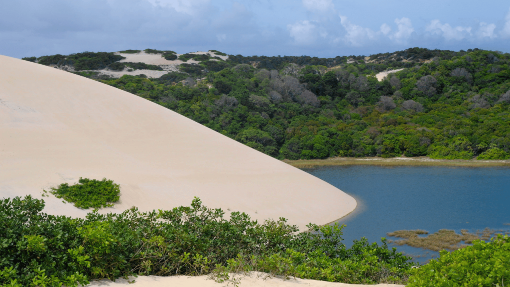 O paraíso brasileiro que está chamando atenção por lembrar o Egito com passeios em dromedários e dunas douradas de arrepiar