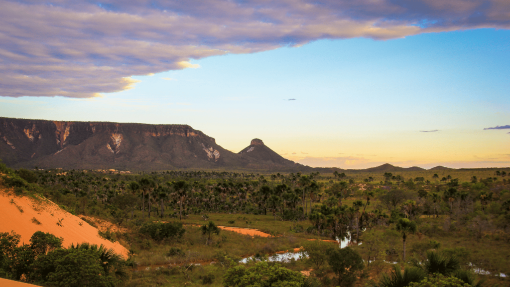 Um dos lugares mais preservados do Brasil que surpreende mesmo quem já viu de tudo