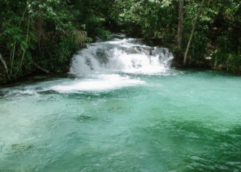 Um dos lugares mais preservados do Brasil que surpreende mesmo quem já viu de tudo
