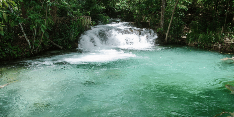 Um dos lugares mais preservados do Brasil que surpreende mesmo quem já viu de tudo