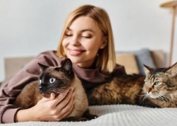 Estudos mostram que gatos têm vínculos afetivos mais profundos do que se pensava segundo especialistas