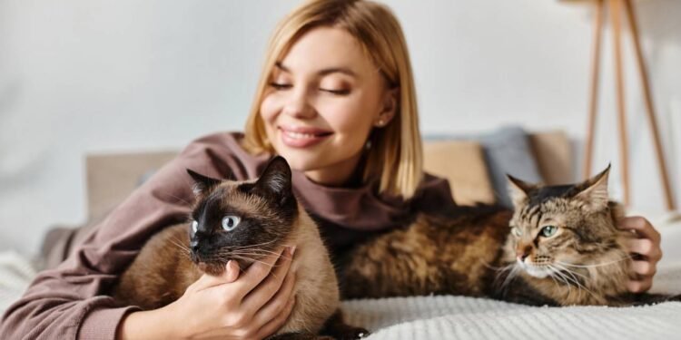 Estudos mostram que gatos têm vínculos afetivos mais profundos do que se pensava segundo especialistas